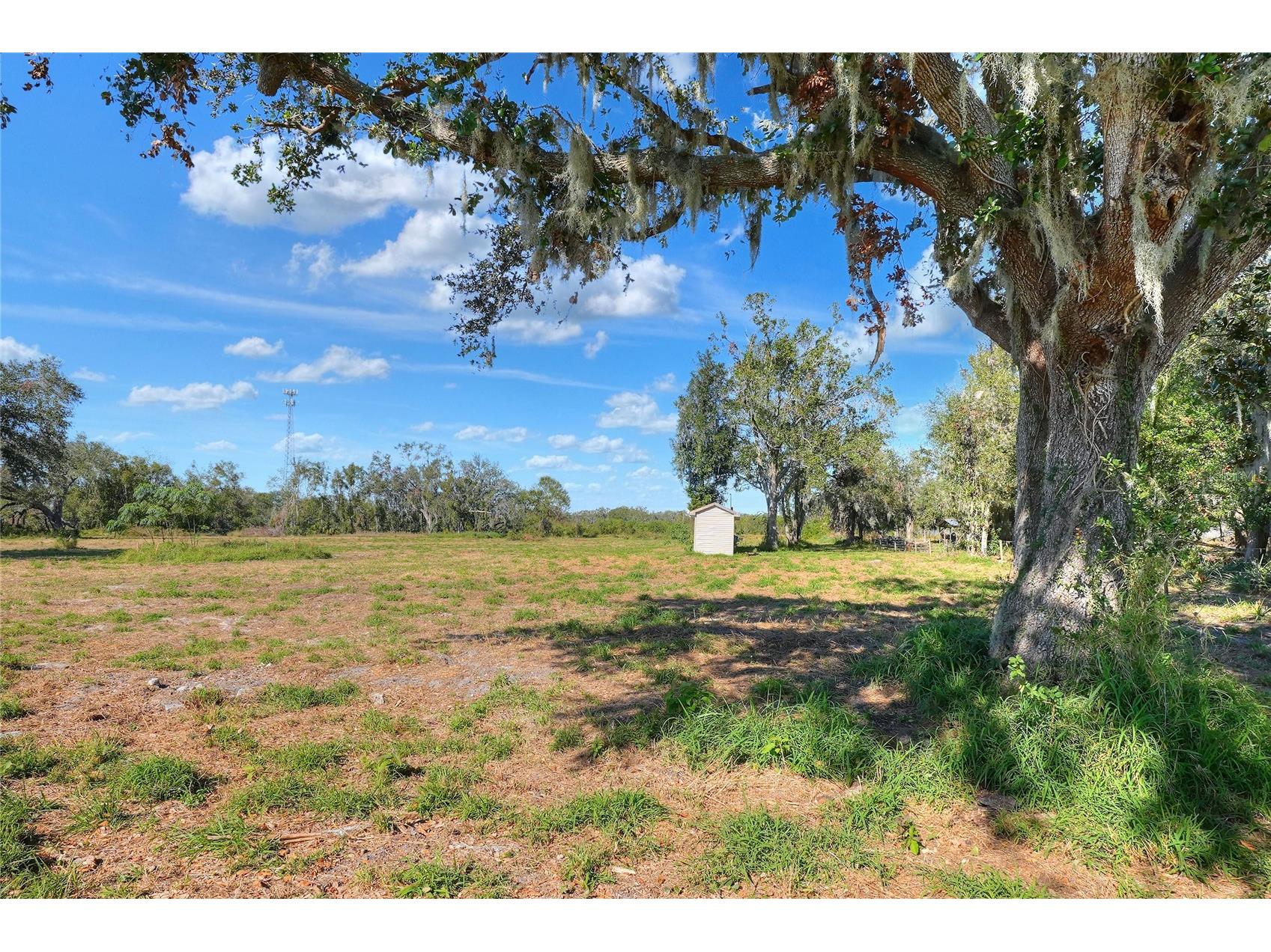 17744 Bledsoe Loop Lithia FL 33547 TB8329653 image1