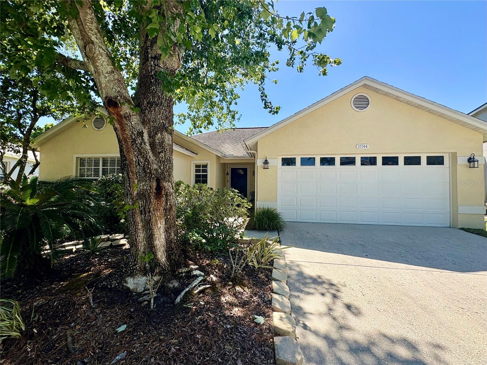 17744 Esprit Drive Tampa FL 33647 TB8506514 image1