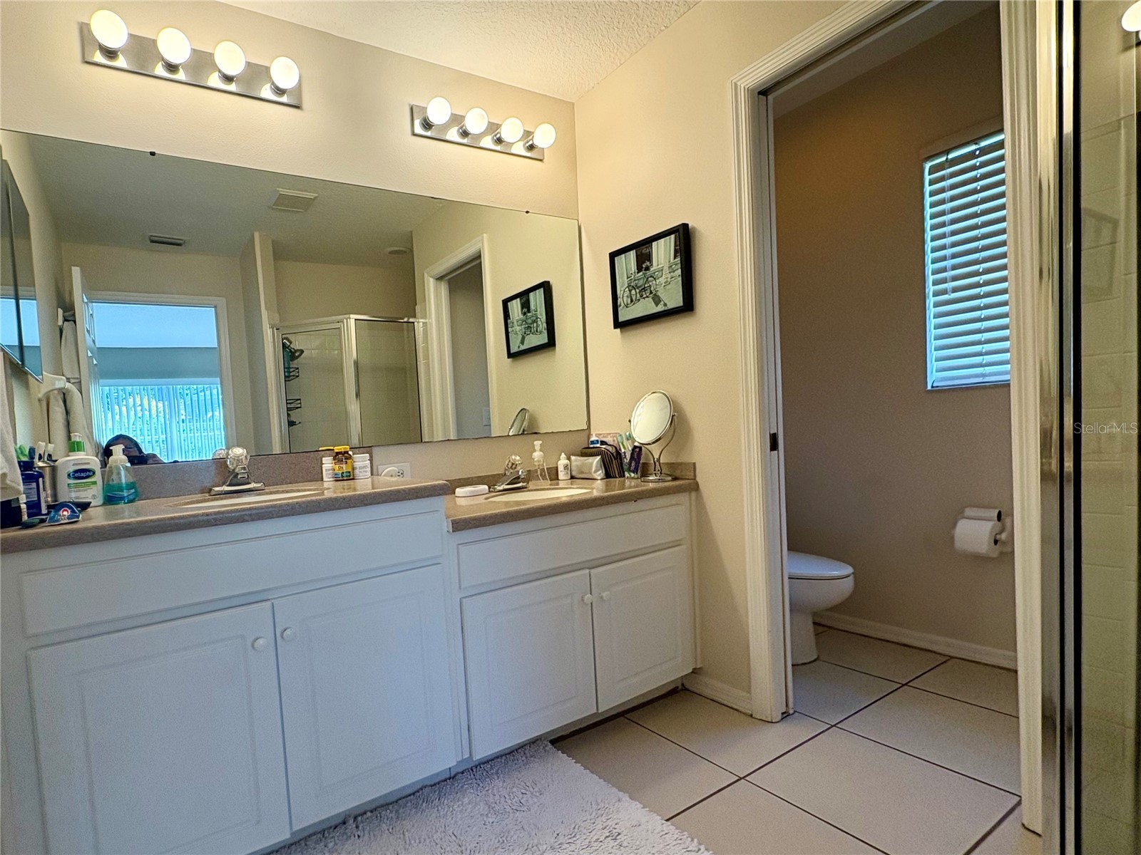 17744 Esprit Drive Tampa FL 33647 TB8506514 image10