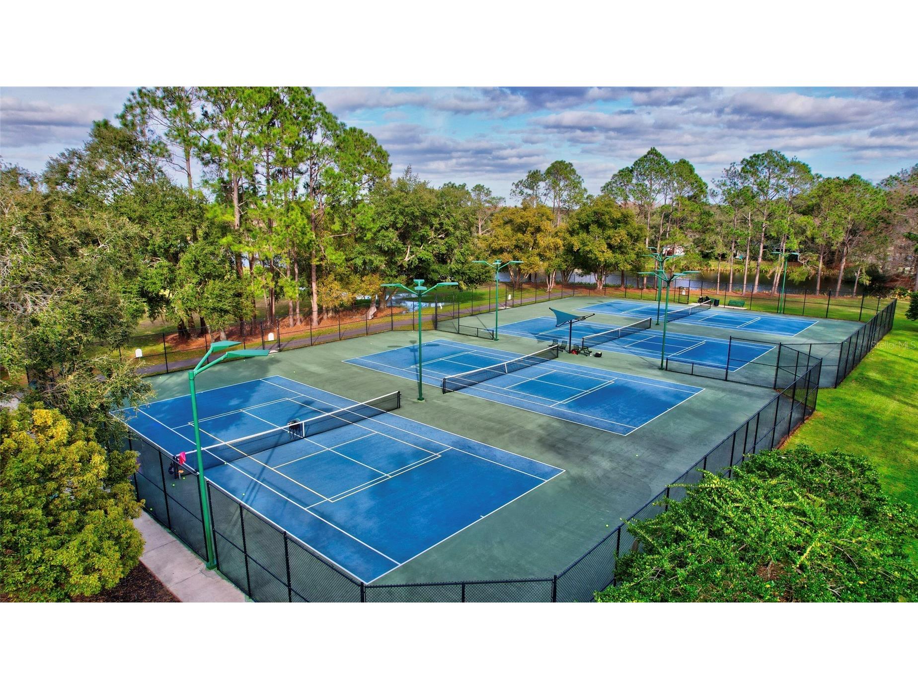 17744 Esprit Drive Tampa FL 33647 TB8506514 image17