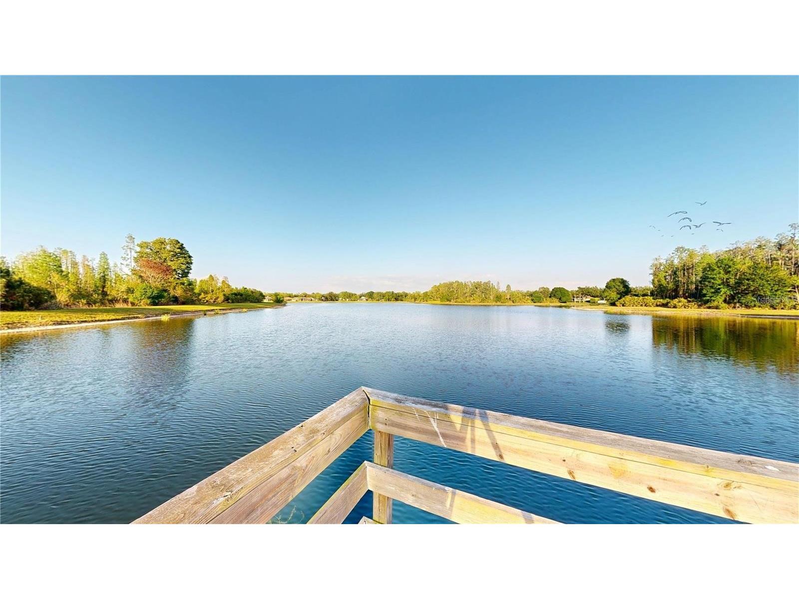 17744 Esprit Drive Tampa FL 33647 TB8506514 image20