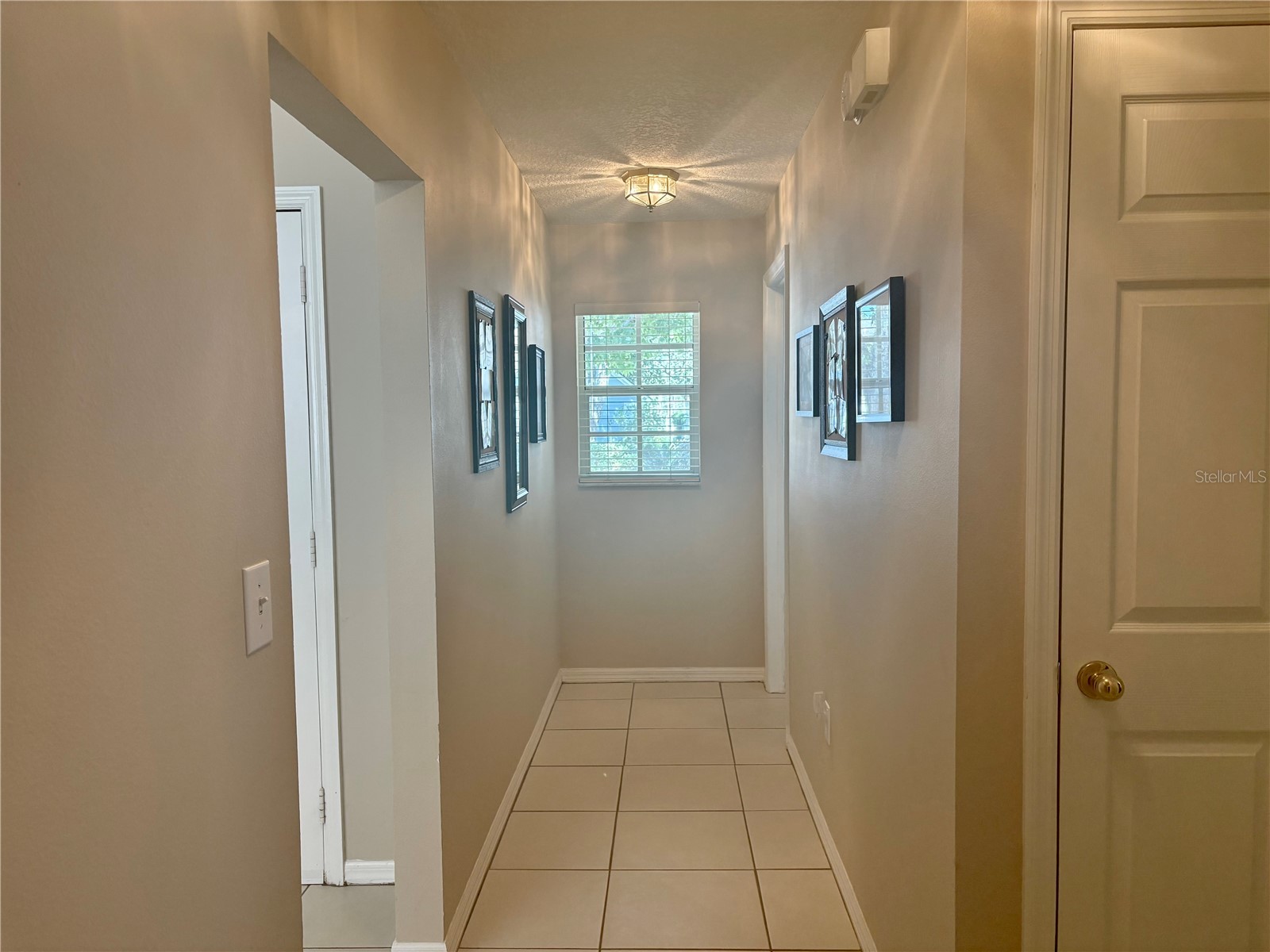 17744 Esprit Drive Tampa FL 33647 TB8506514 image8