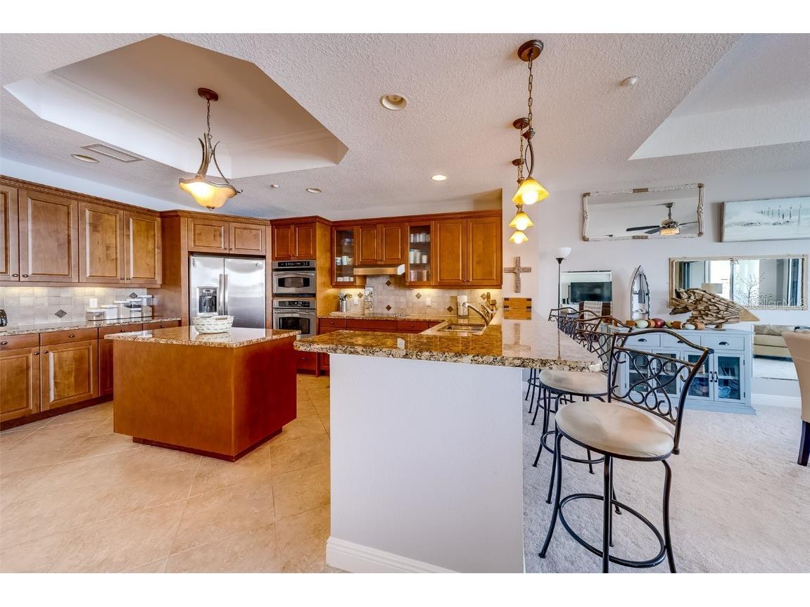 17745 Gulf Boulevard #303 Redington Shores FL 33708 TB8358958 image12