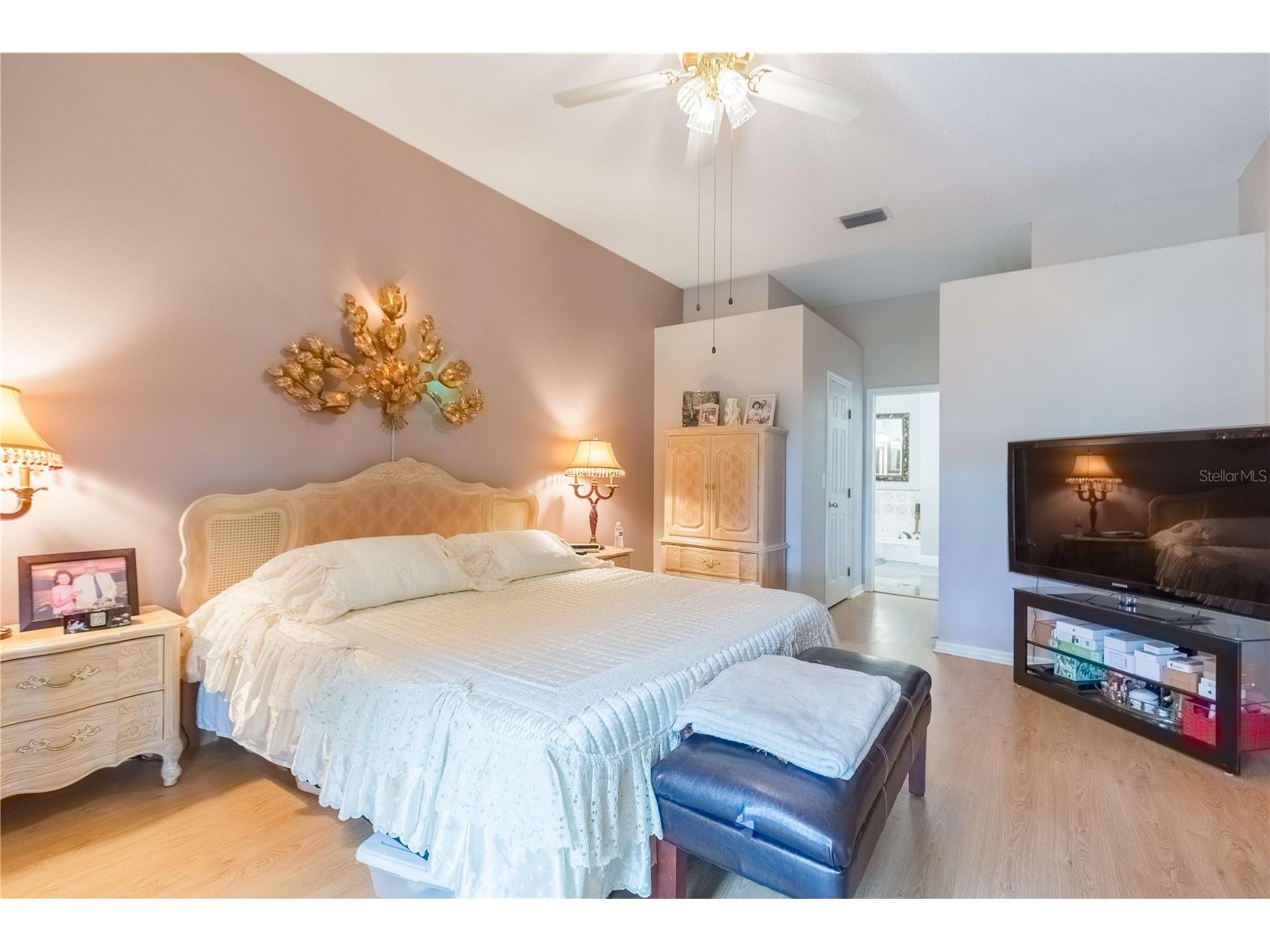 17746 Nathans Drive Tampa FL 33647 TB8483544 image21