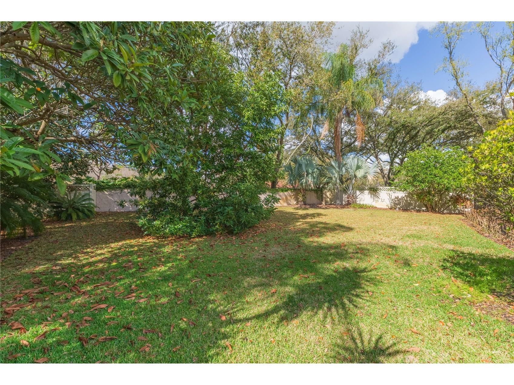 17746 Nathans Drive Tampa FL 33647 TB8483544 image31