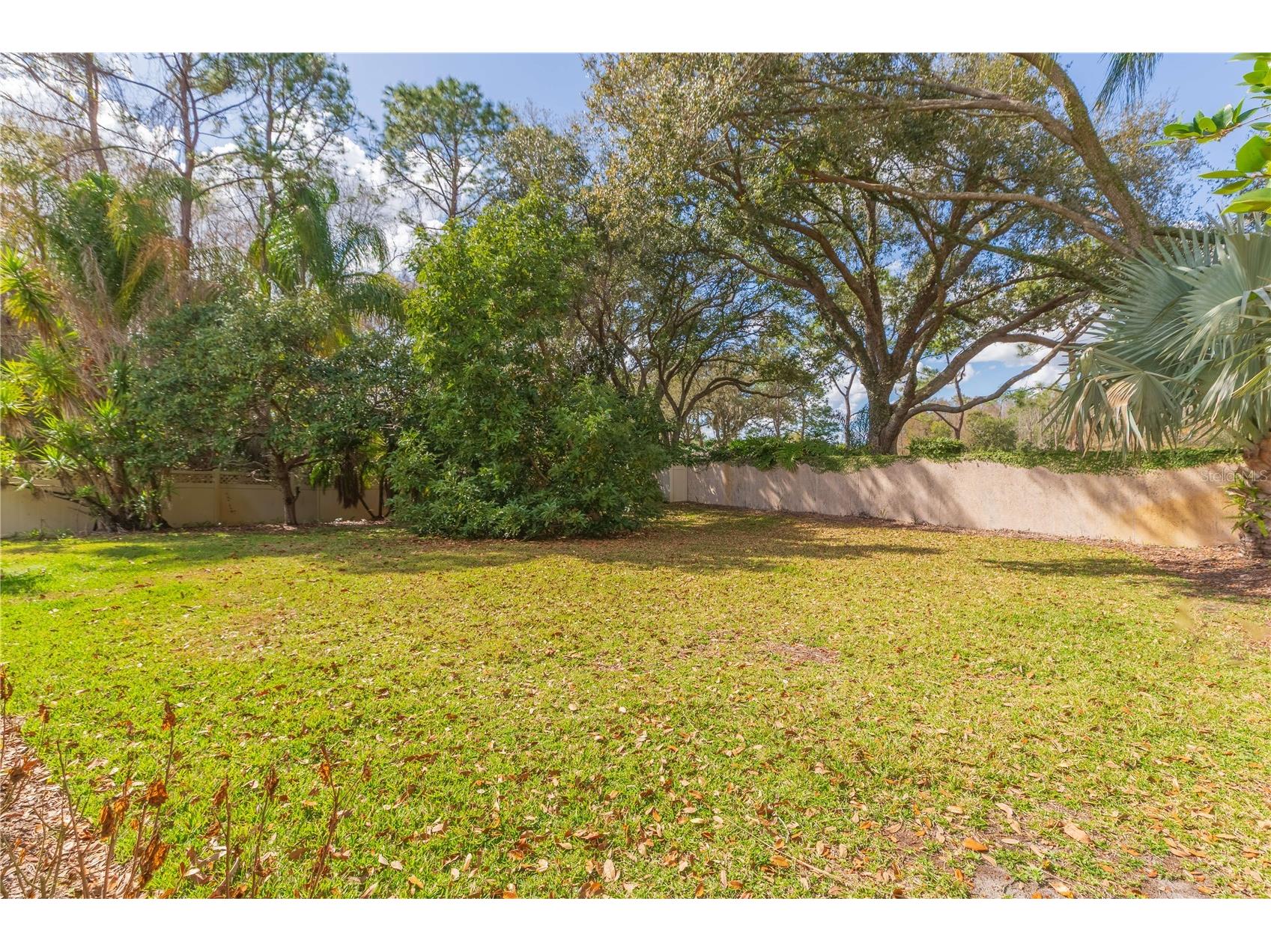 17746 Nathans Drive Tampa FL 33647 TB8483544 image32