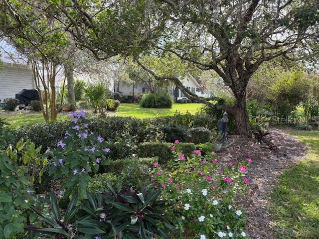 17747 SE 97th Avenue Summerfield FL 34491 OM714384 image51