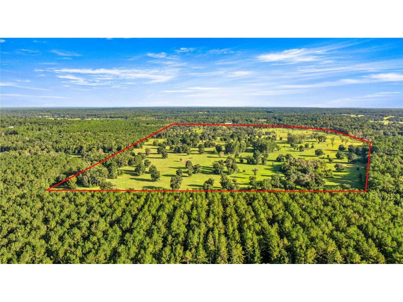 17748 N Hwy 329 Reddick FL 32686 OM710603 image1