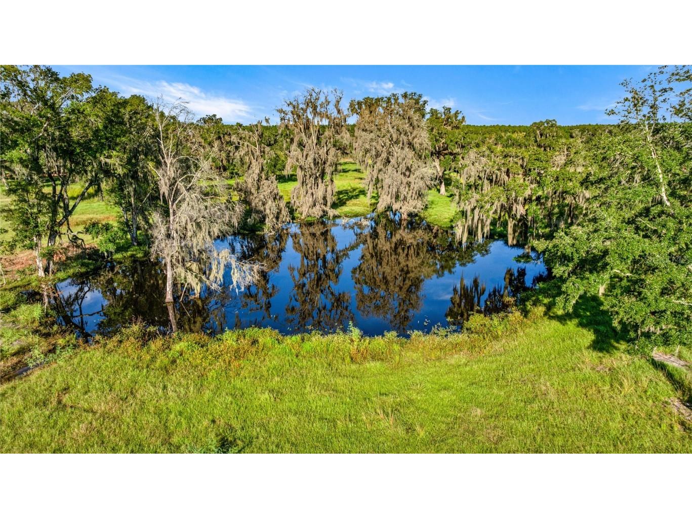 17748 N Hwy 329 Reddick FL 32686 OM710603 image12