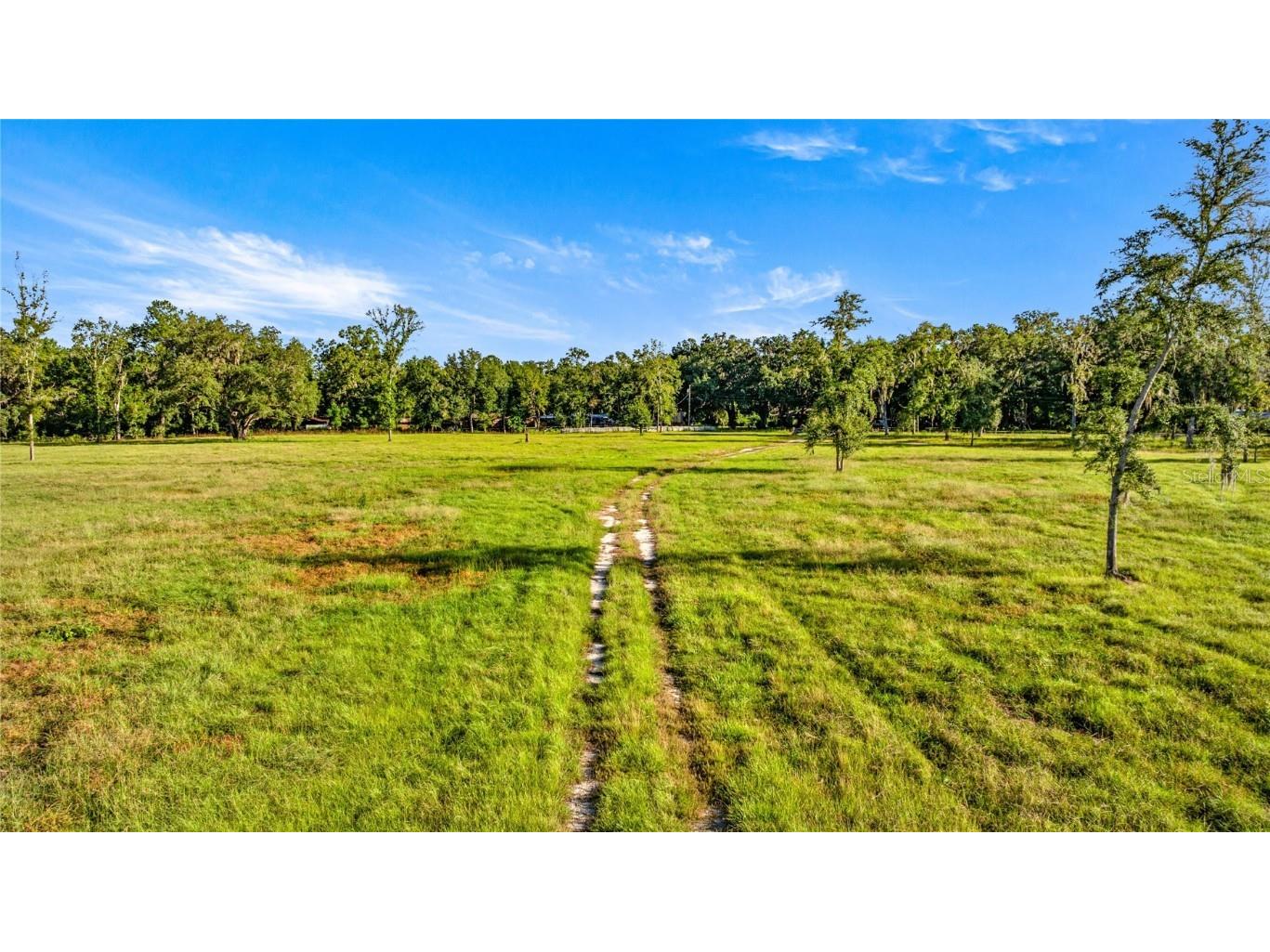 17748 N Hwy 329 Reddick FL 32686 OM710603 image13