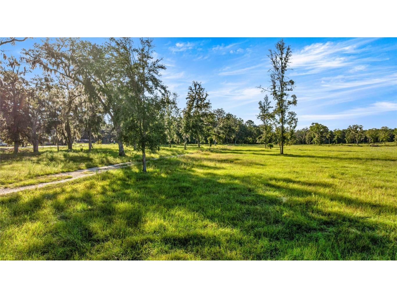 17748 N Hwy 329 Reddick FL 32686 OM710603 image15