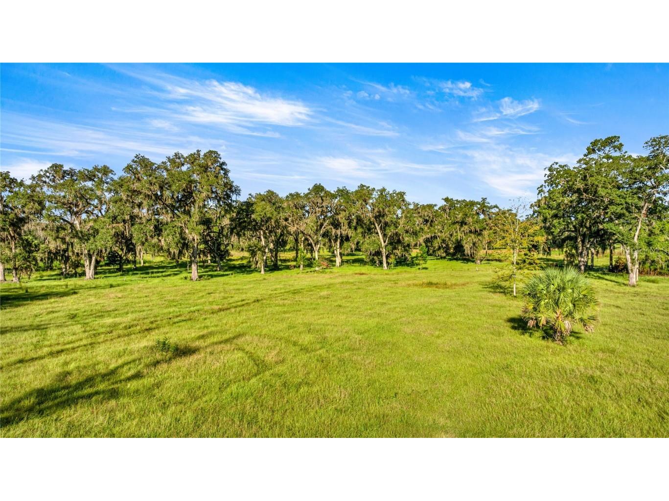 17748 N Hwy 329 Reddick FL 32686 OM710603 image16