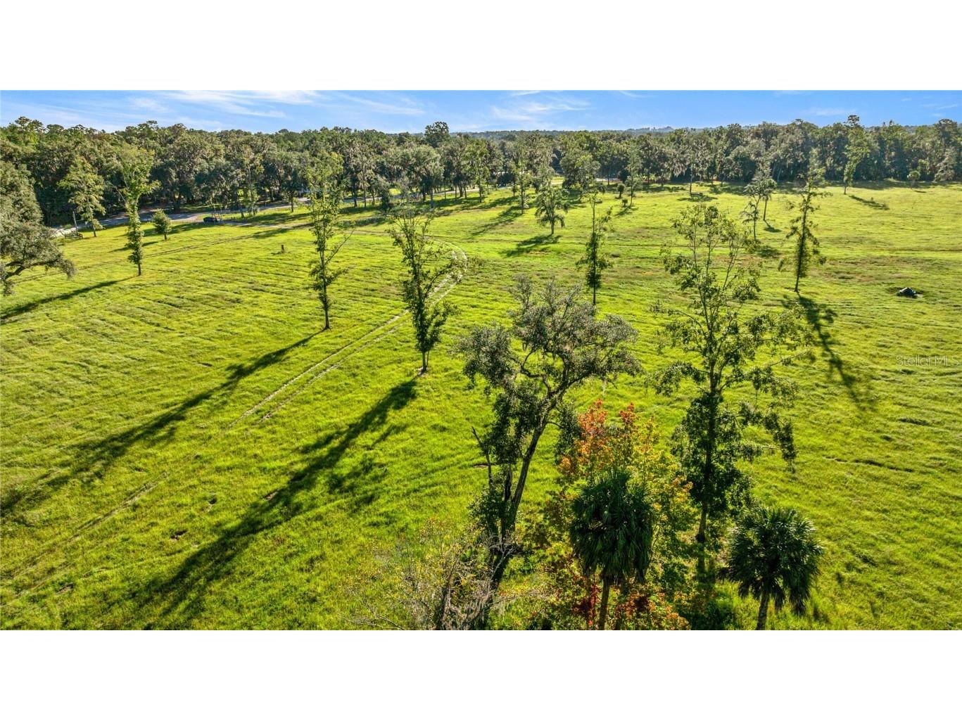 17748 N Hwy 329 Reddick FL 32686 OM710603 image17