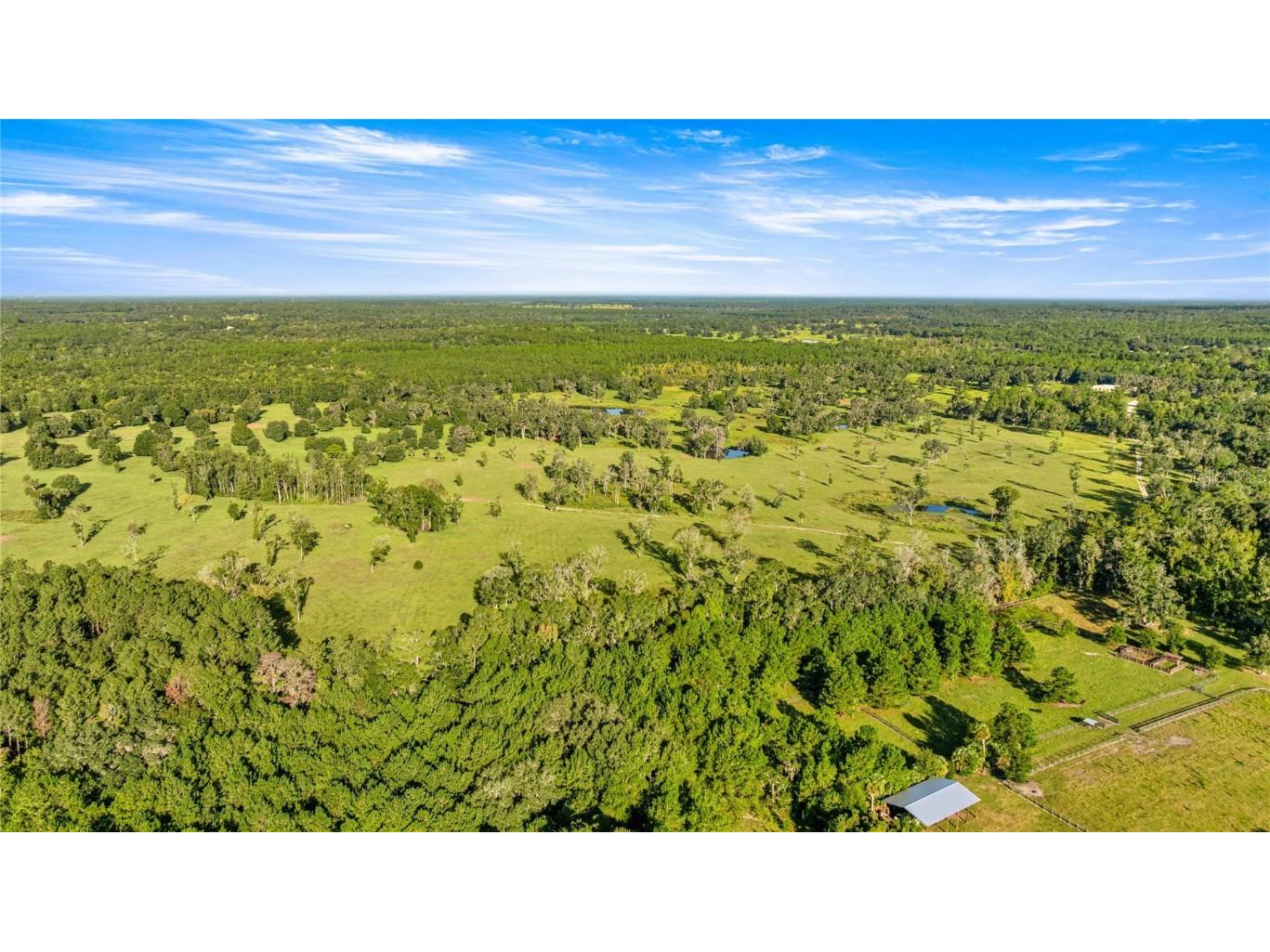 17748 N Hwy 329 Reddick FL 32686 OM710603 image2