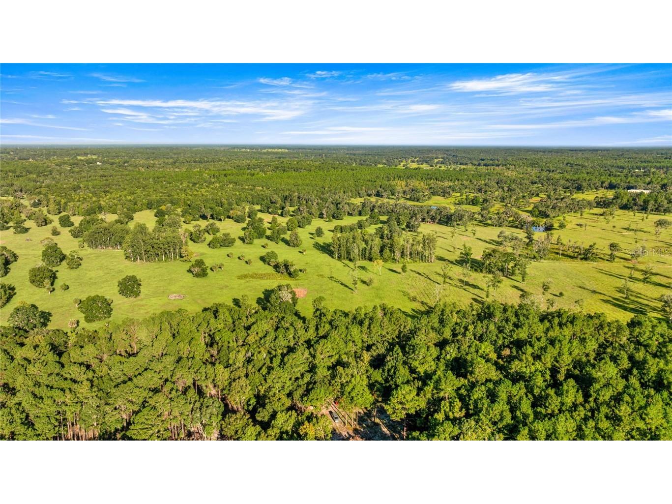 17748 N Hwy 329 Reddick FL 32686 OM710603 image3