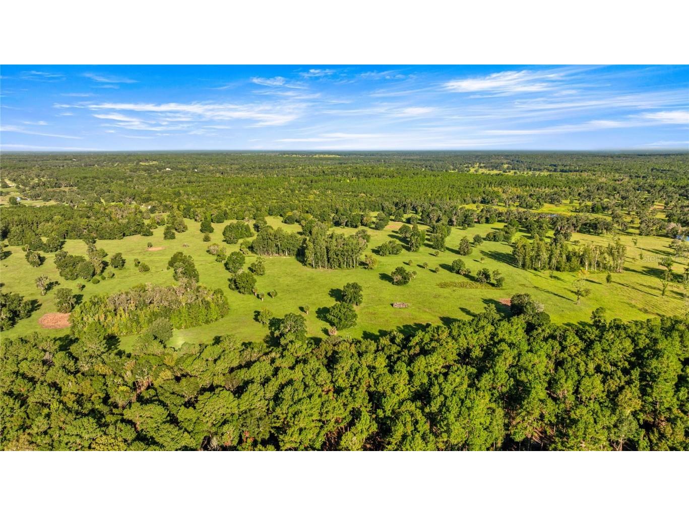 17748 N Hwy 329 Reddick FL 32686 OM710603 image4