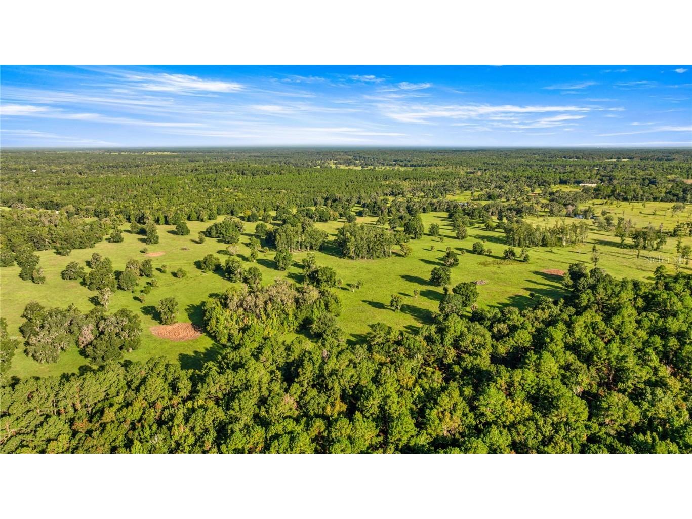 17748 N Hwy 329 Reddick FL 32686 OM710603 image5