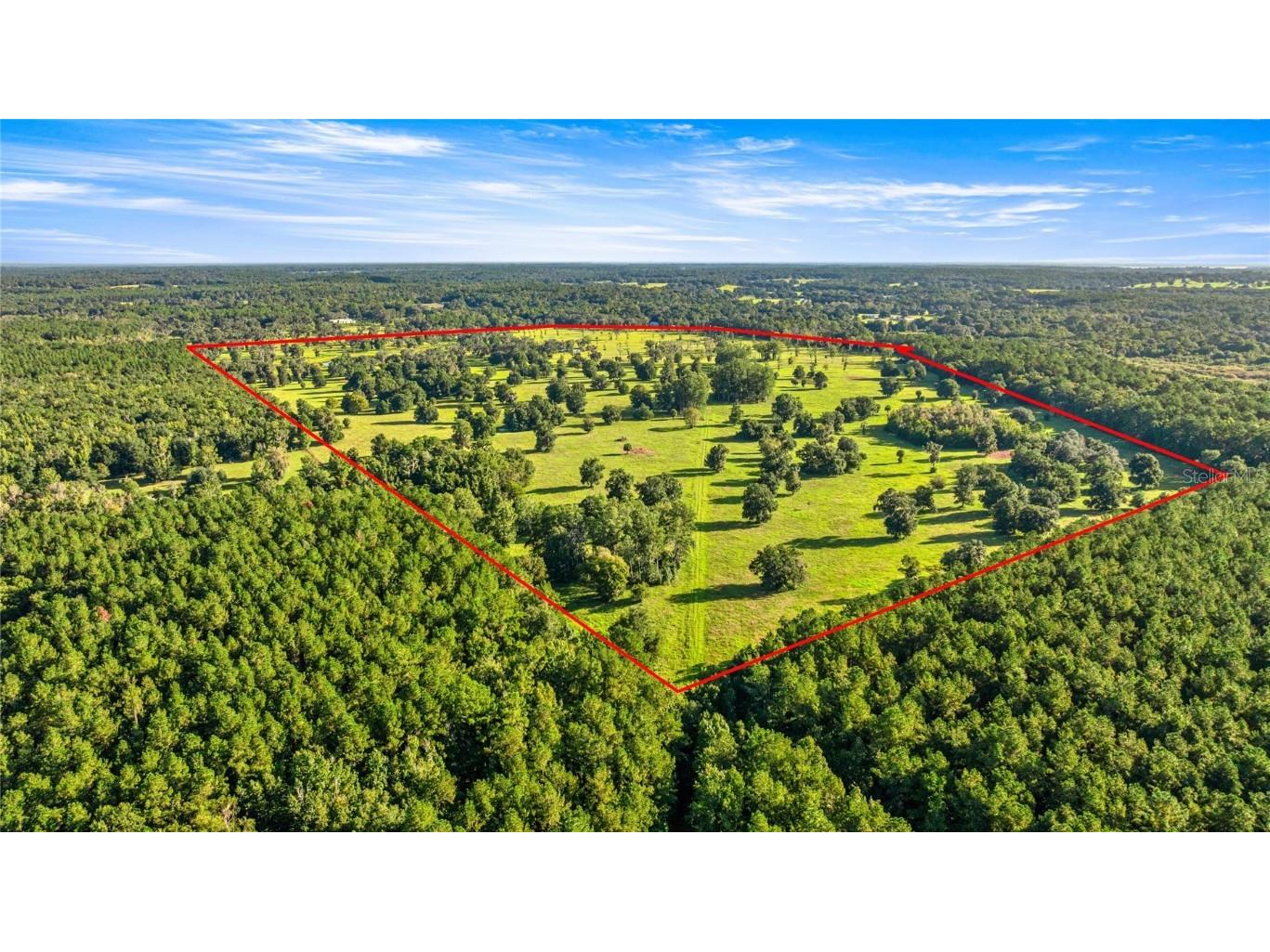 17748 N Hwy 329 Reddick FL 32686 OM710603 image6