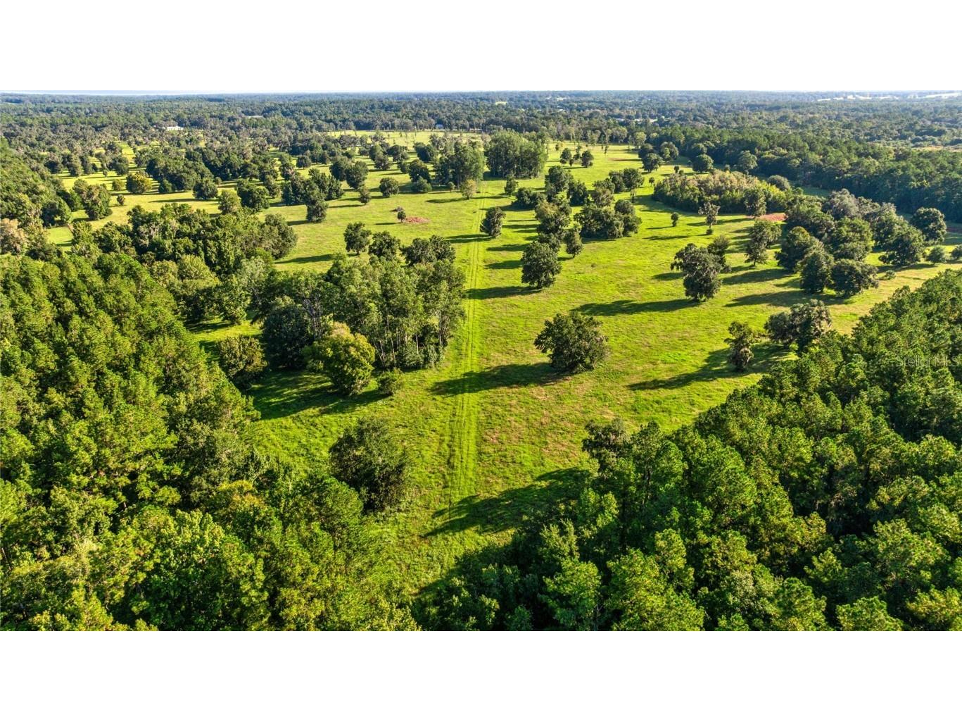 17748 N Hwy 329 Reddick FL 32686 OM710603 image7