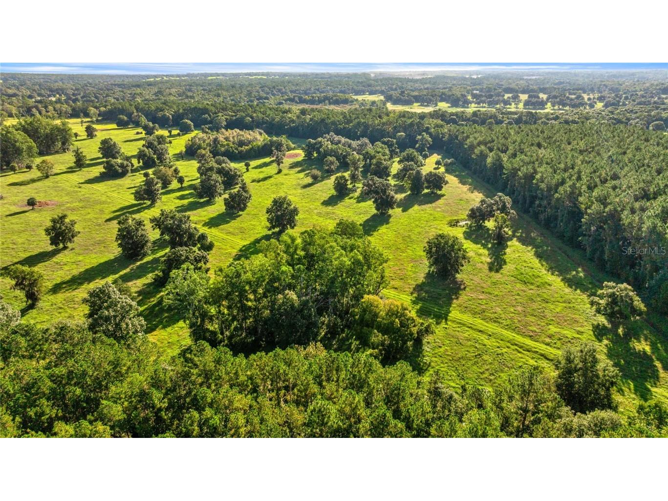 17748 N Hwy 329 Reddick FL 32686 OM710603 image8