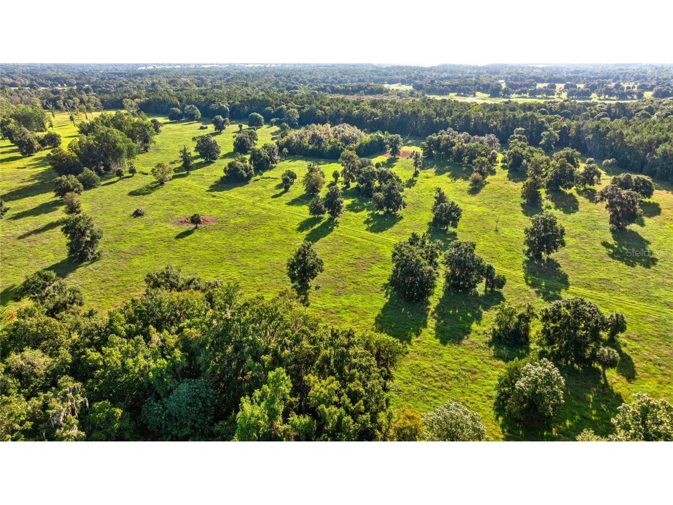 17748 N Hwy 329 Reddick FL 32686 OM710603 image9