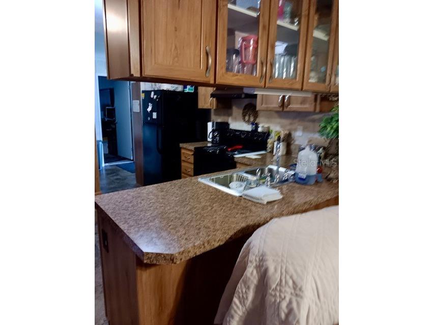 17749 SE 156th Place Road Weirsdale FL 32195 N6144440 image12