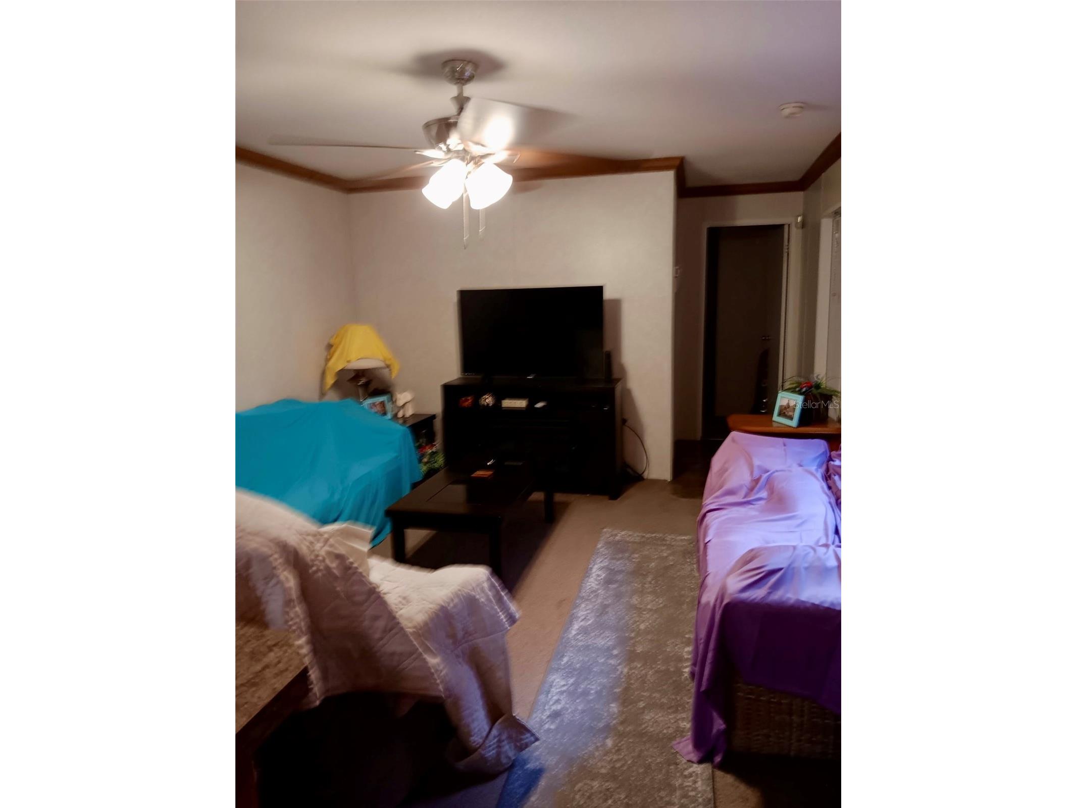 17749 SE 156th Place Road Weirsdale FL 32195 N6144440 image13