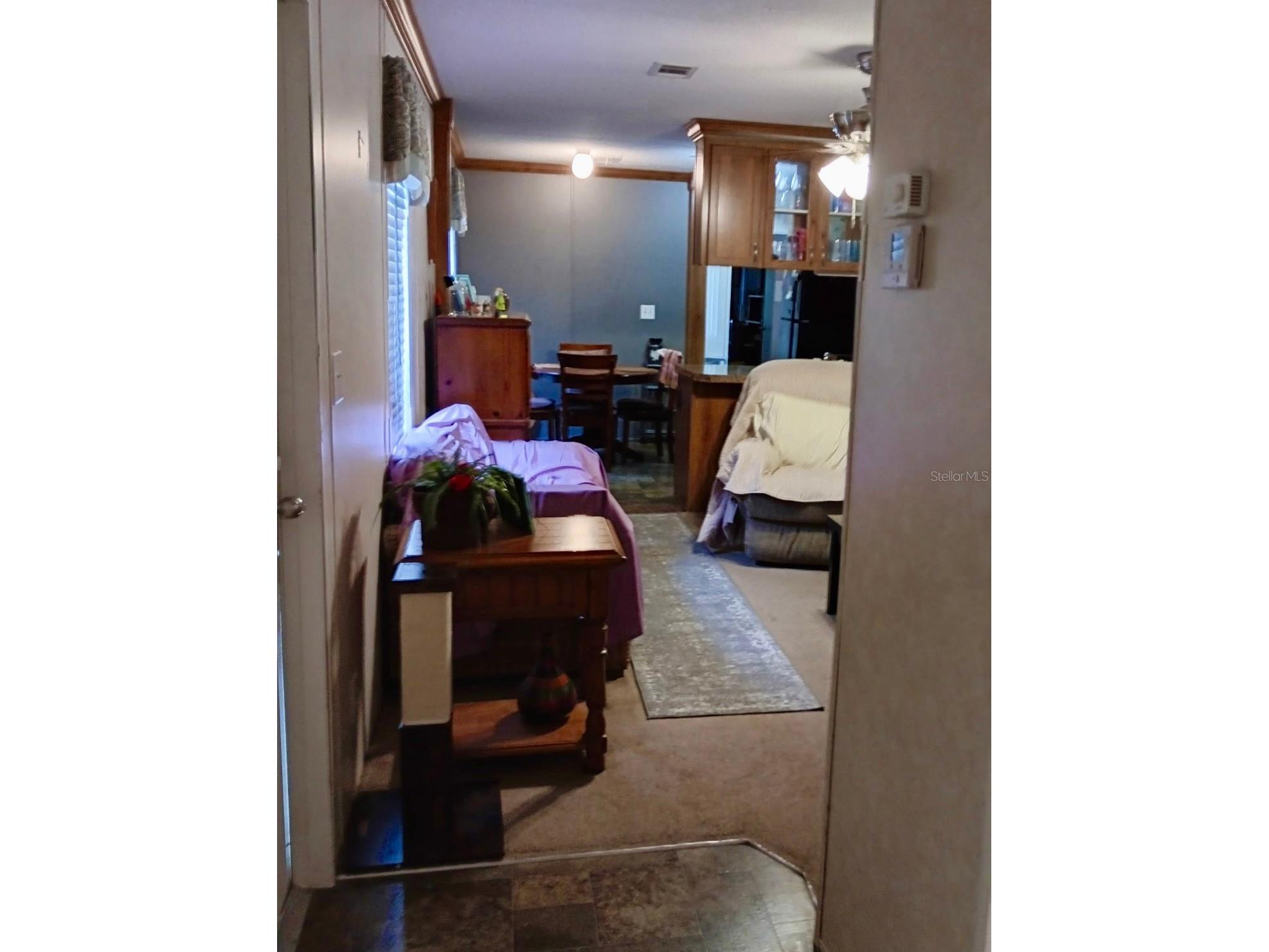 17749 SE 156th Place Road Weirsdale FL 32195 N6144440 image17