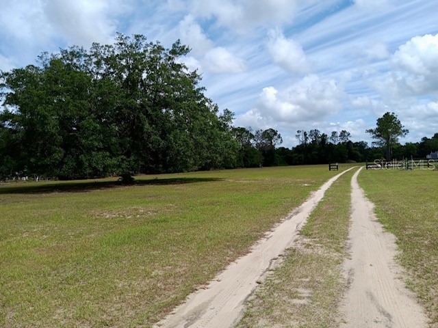 17749 SE 156th Place Road Weirsdale FL 32195 N6144440 image23
