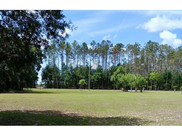 17749 SE 156th Place Road Weirsdale FL 32195 N6144440 image33