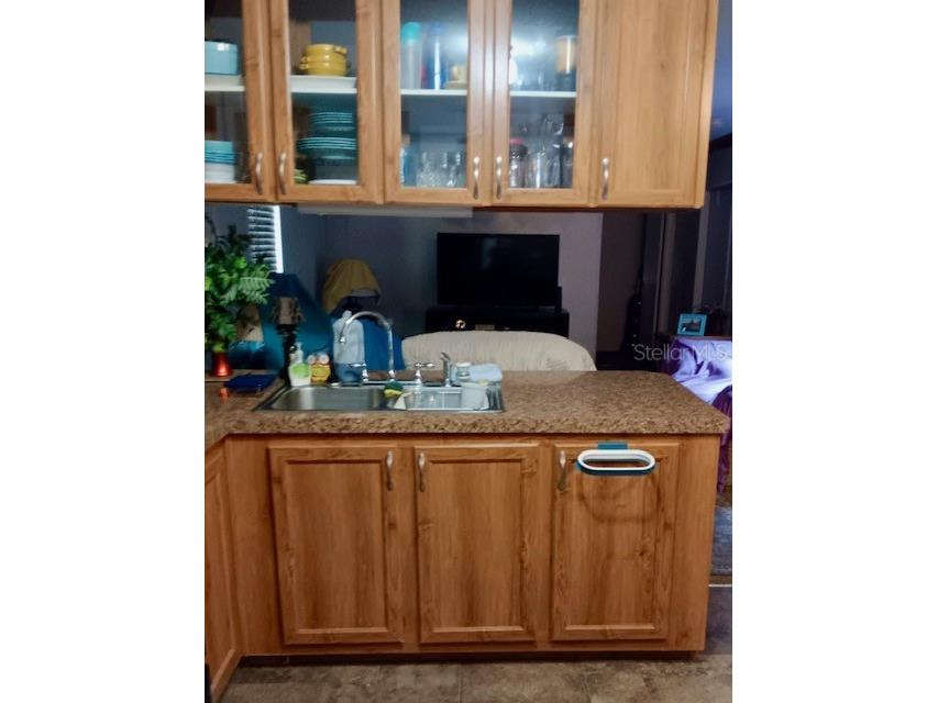 17749 SE 156th Place Road Weirsdale FL 32195 N6144440 image4