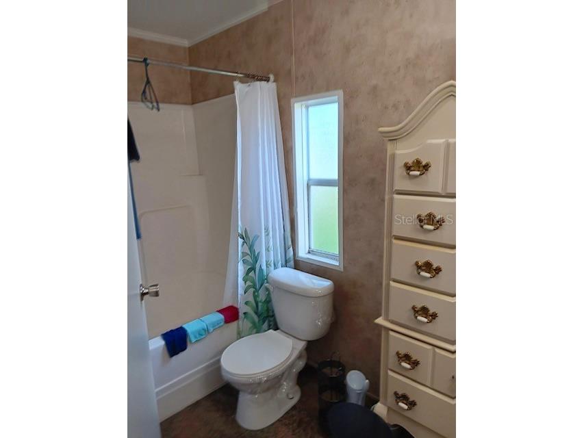 17749 SE 156th Place Road Weirsdale FL 32195 N6144440 image6
