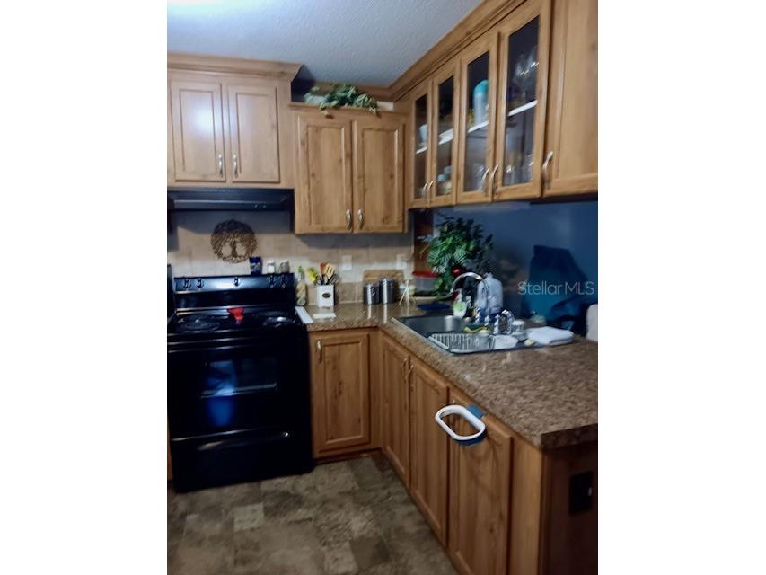 17749 SE 156th Place Road Weirsdale FL 32195 N6144440 image8