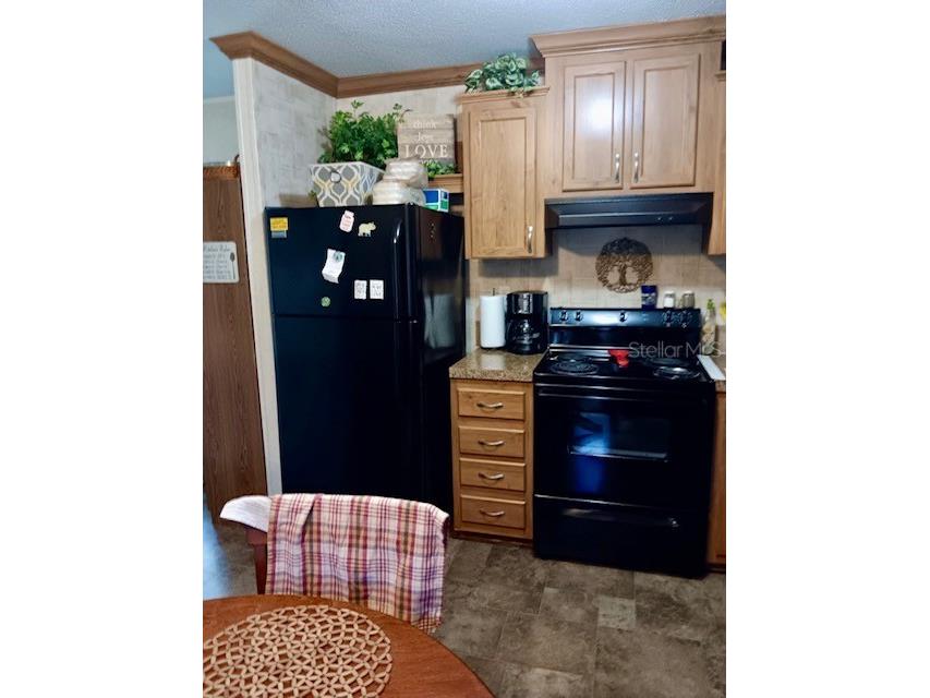 17749 SE 156th Place Road Weirsdale FL 32195 N6144440 image9