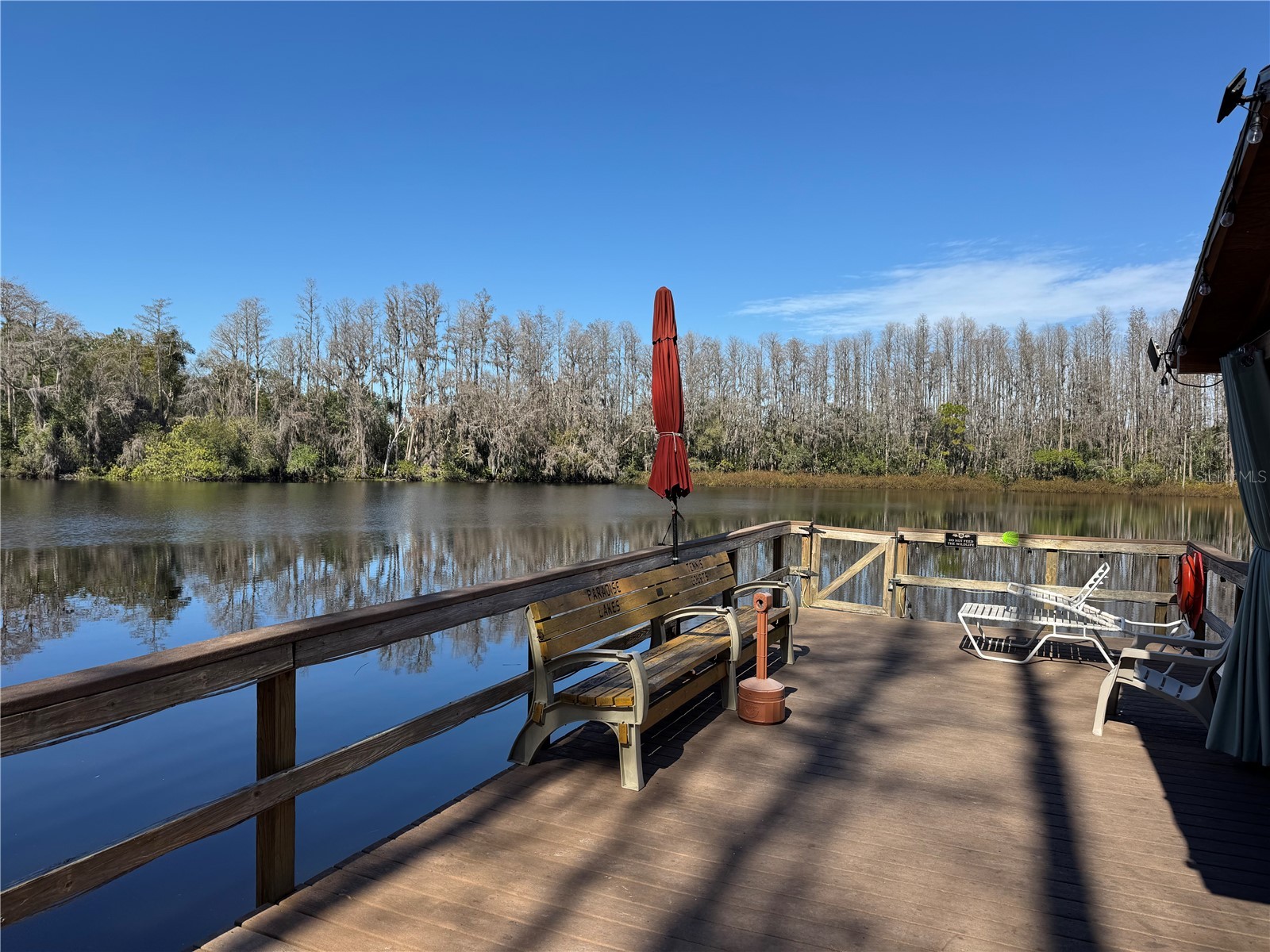 1775 Cupecoy Circle #4 Lutz FL 33558 W7882677 image32