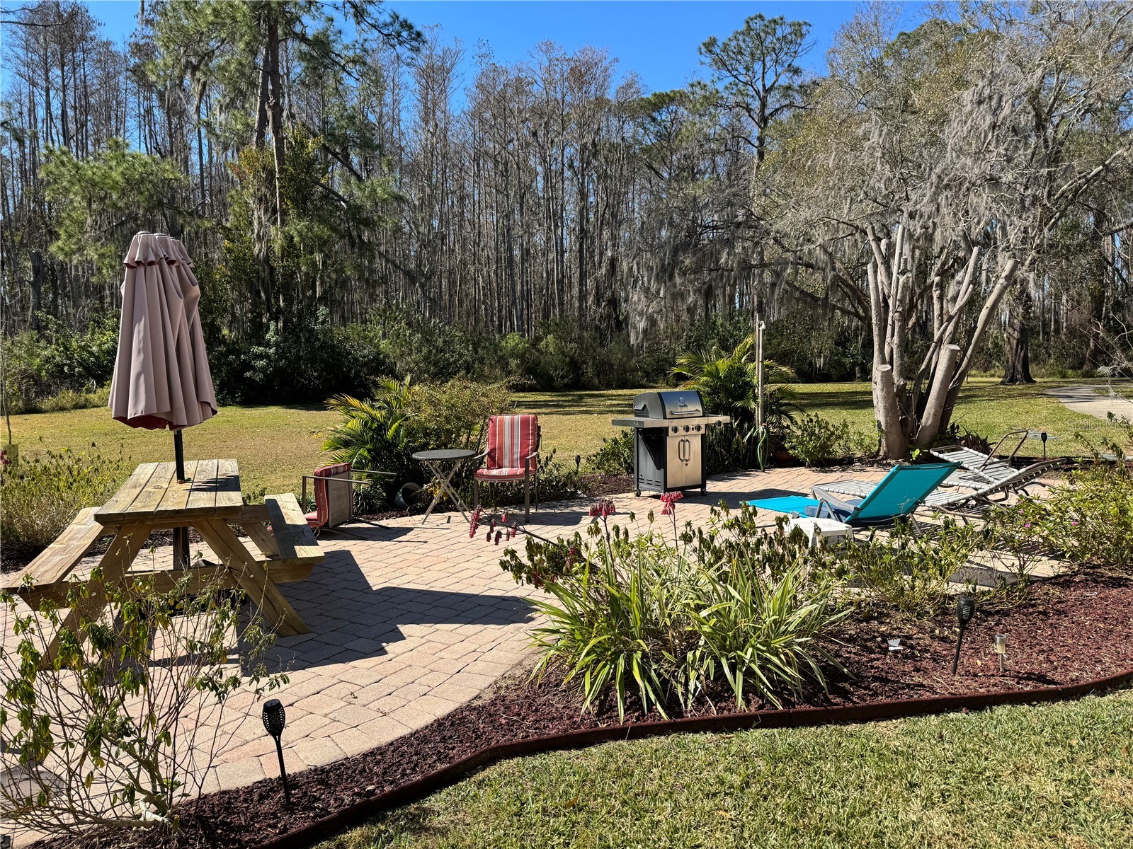 1775 Cupecoy Circle #4 Lutz FL 33558 W7882677 image5