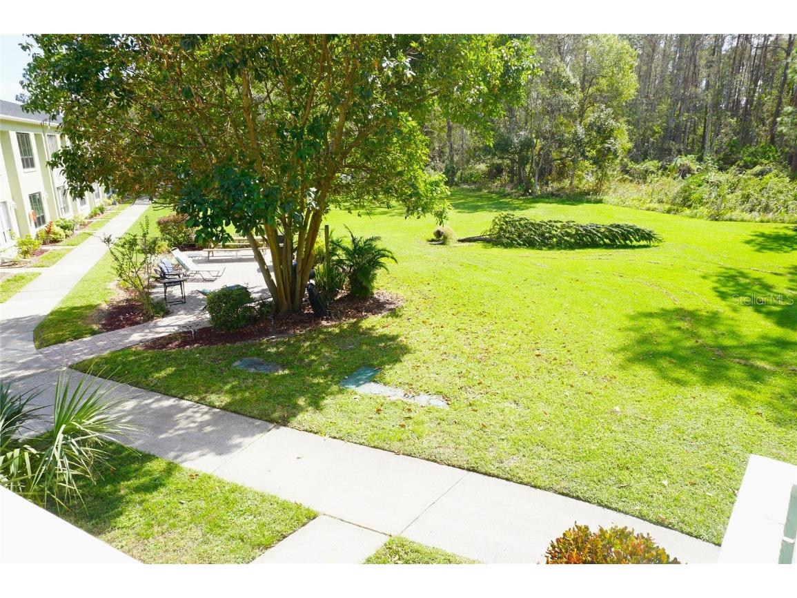 1775 Cupecoy Circle #O4 Lutz FL 33558 W7869423 image41