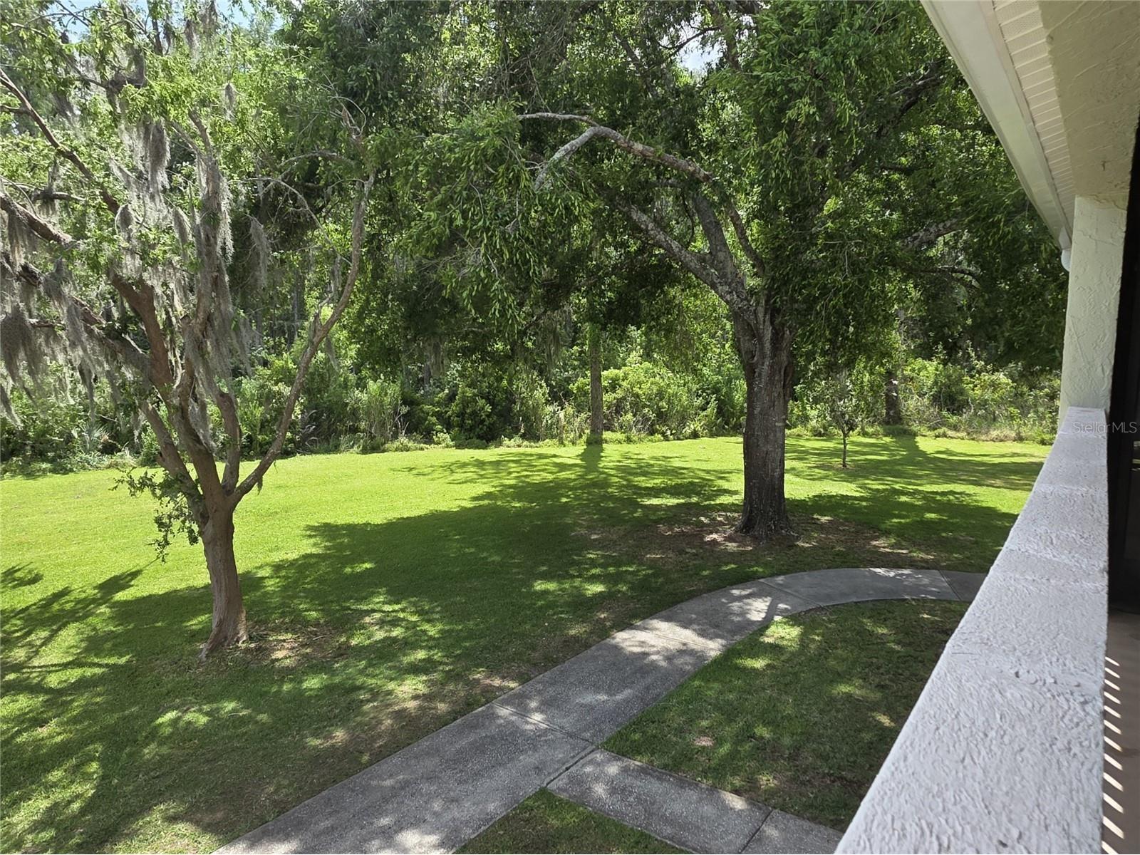 1775 Cupecoy Circle #O6 Lutz FL 33558 W7884985 image33
