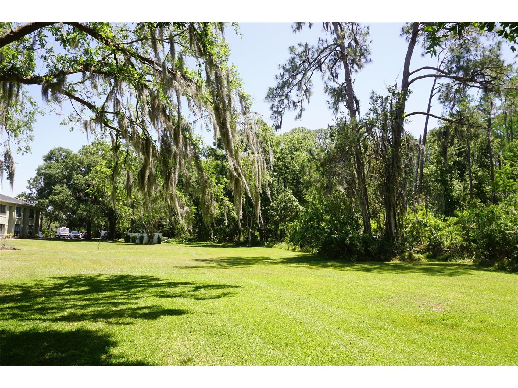 1775 Cupecoy Circle #O6 Lutz FL 33558 W7884985 image7