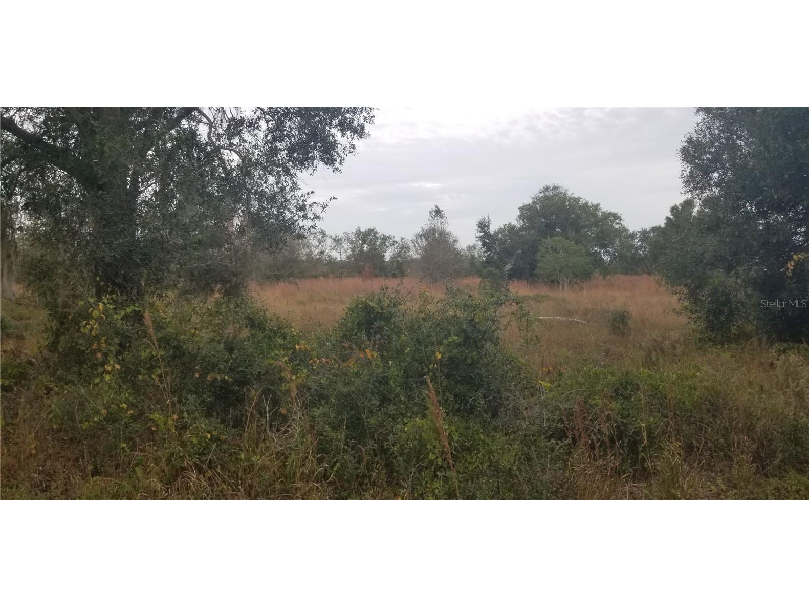 1775 NE Cross Avenue Arcadia FL 34266 N6129988 image1