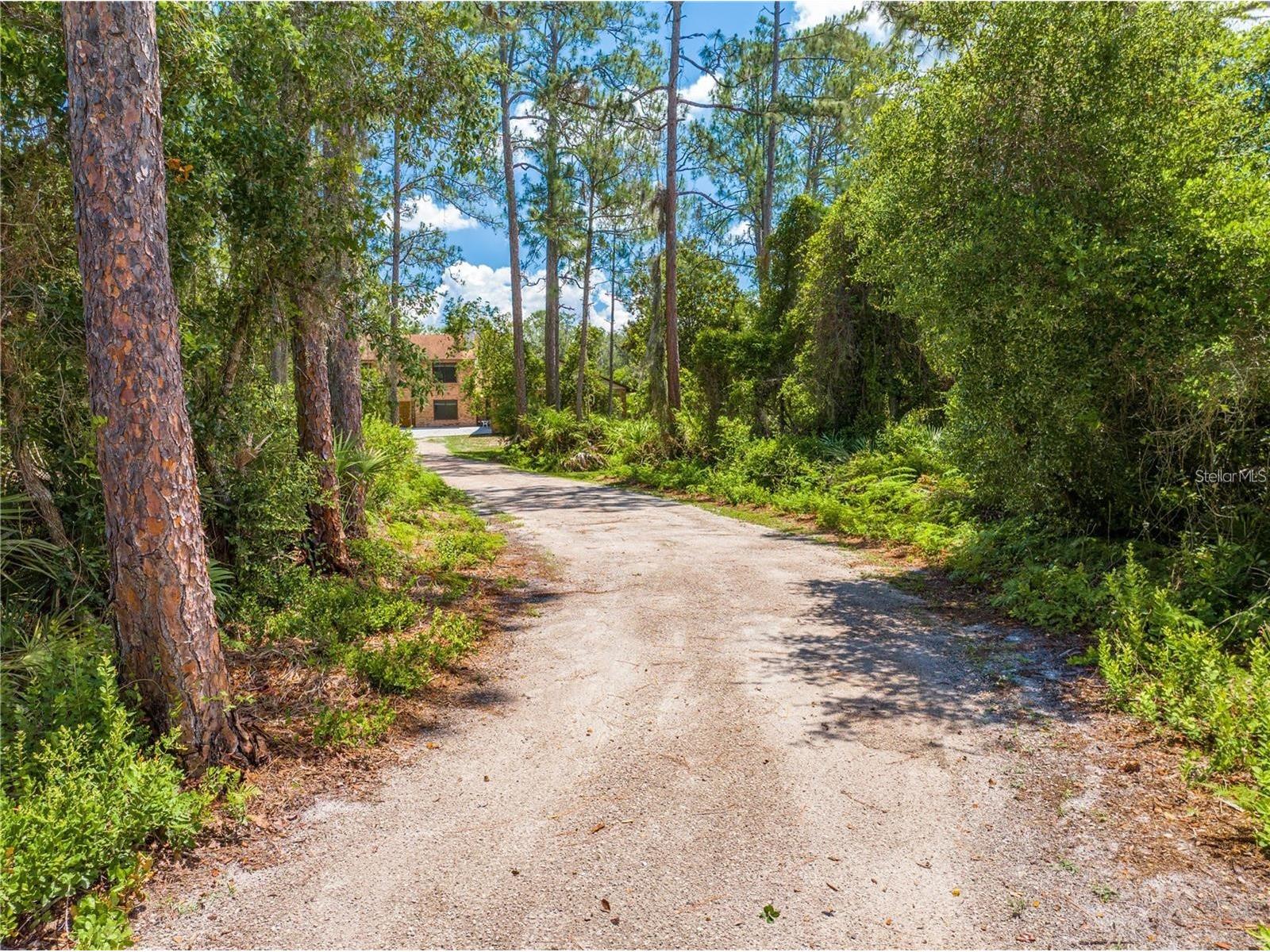 1775 Sundance Drive Saint Cloud FL 34771 S5143236 image3