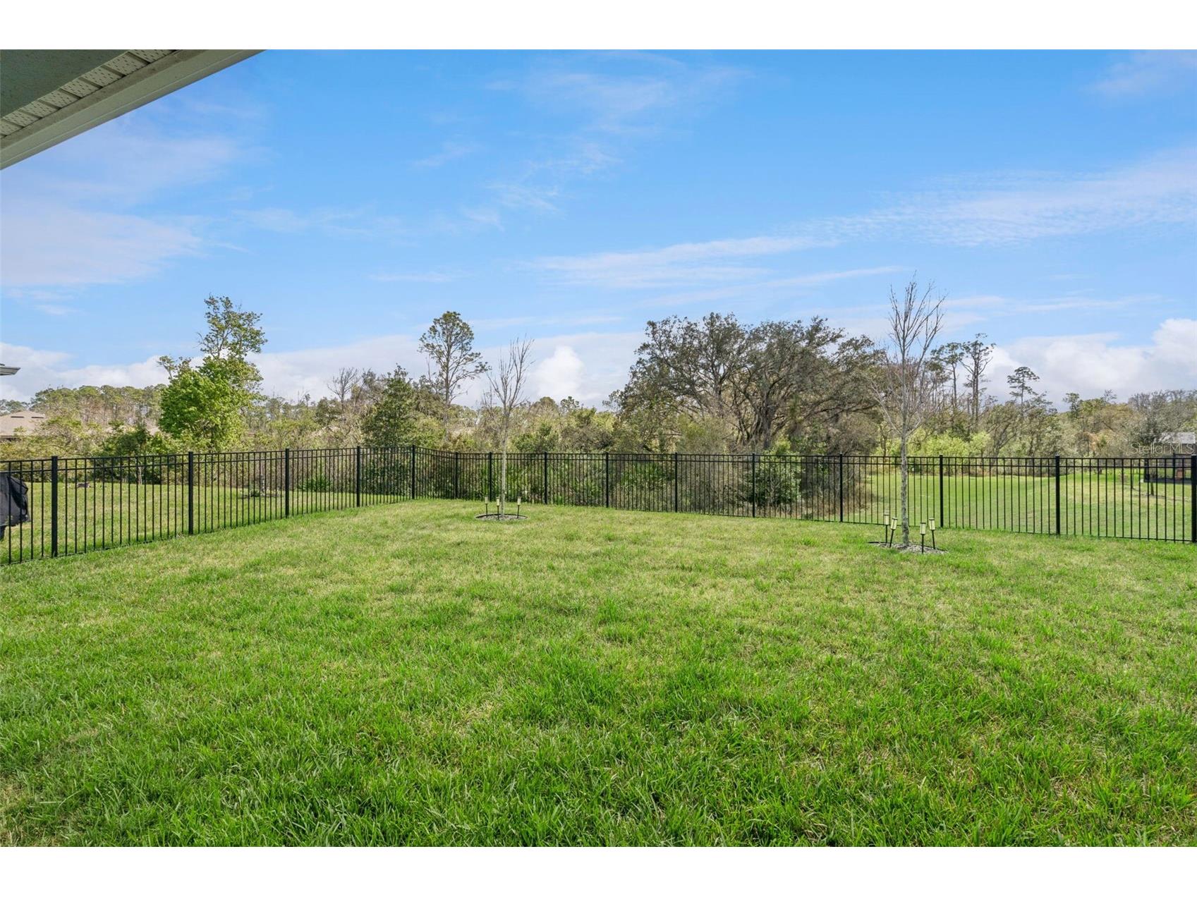 17750 Blazing Star Circle Clermont FL 34714 O6388882 image28