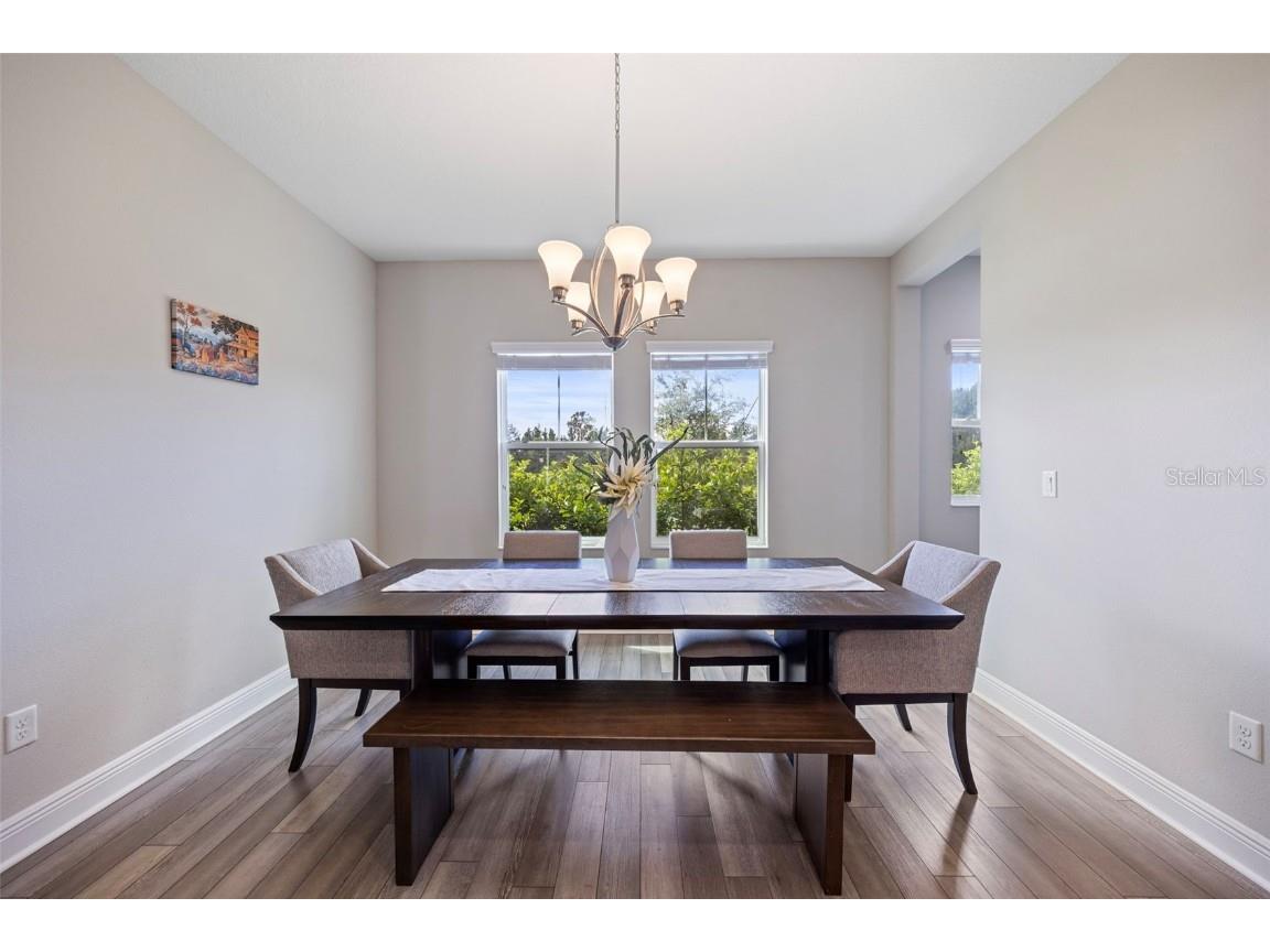 17750 Everlong Drive Land O Lakes FL 34638 TB8431606 image11