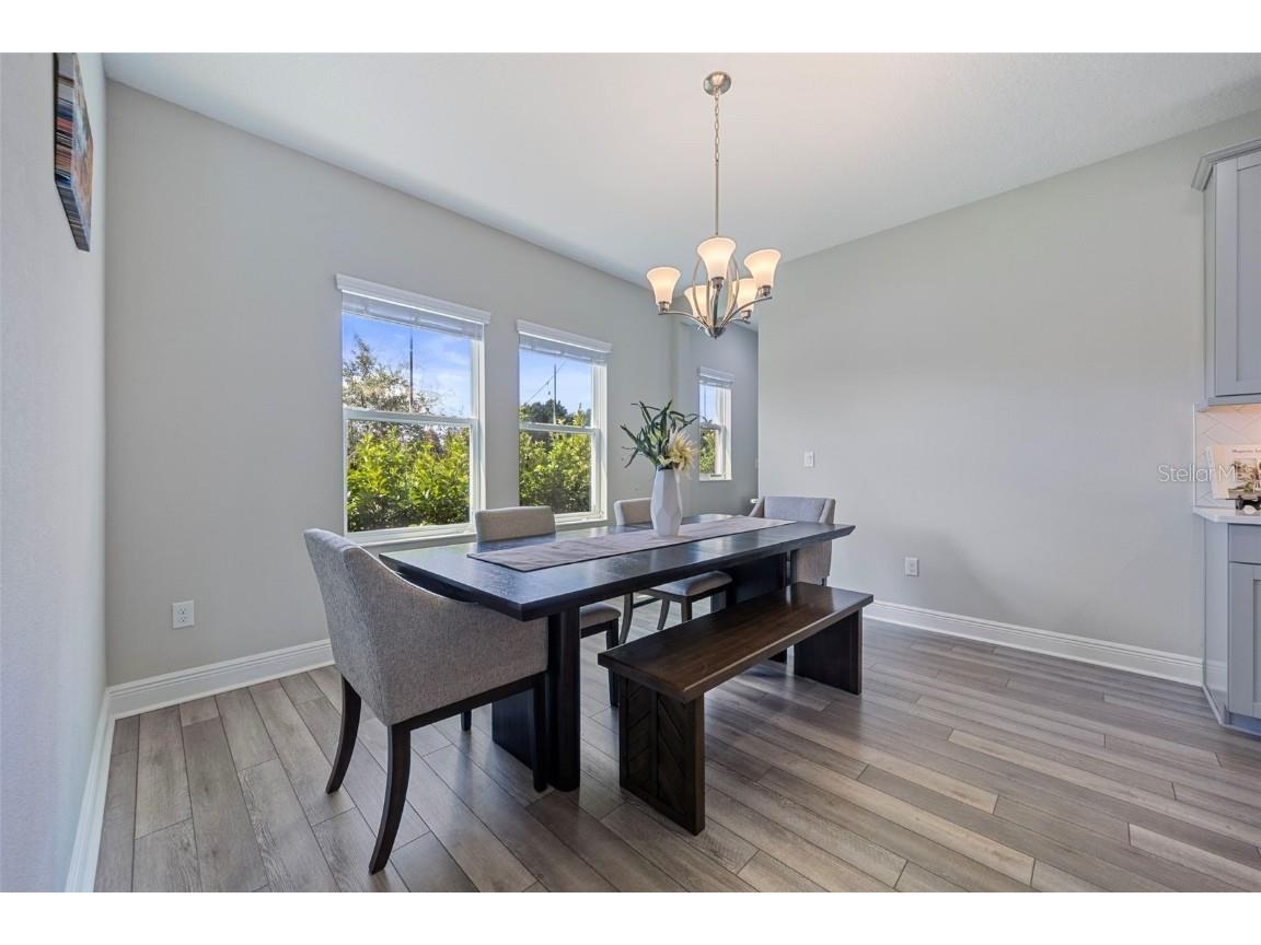 17750 Everlong Drive Land O Lakes FL 34638 TB8431606 image12