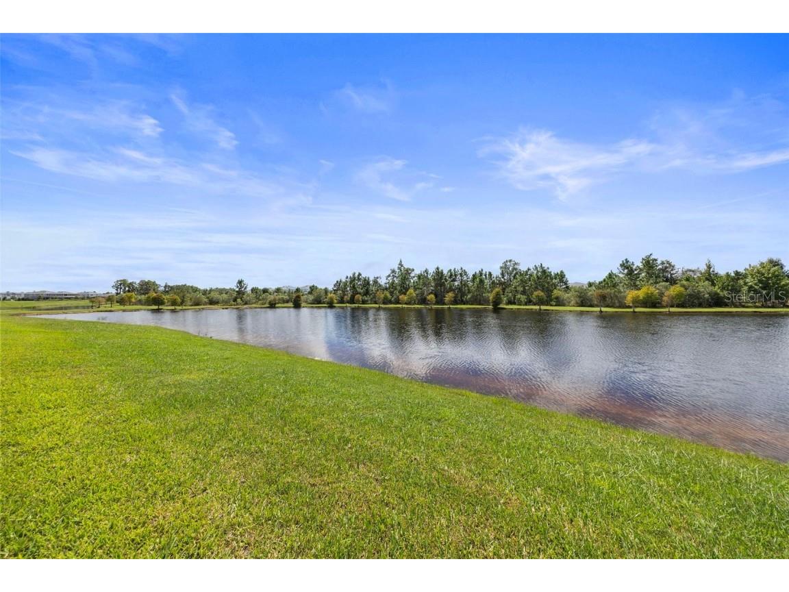 17750 Everlong Drive Land O Lakes FL 34638 TB8431606 image18