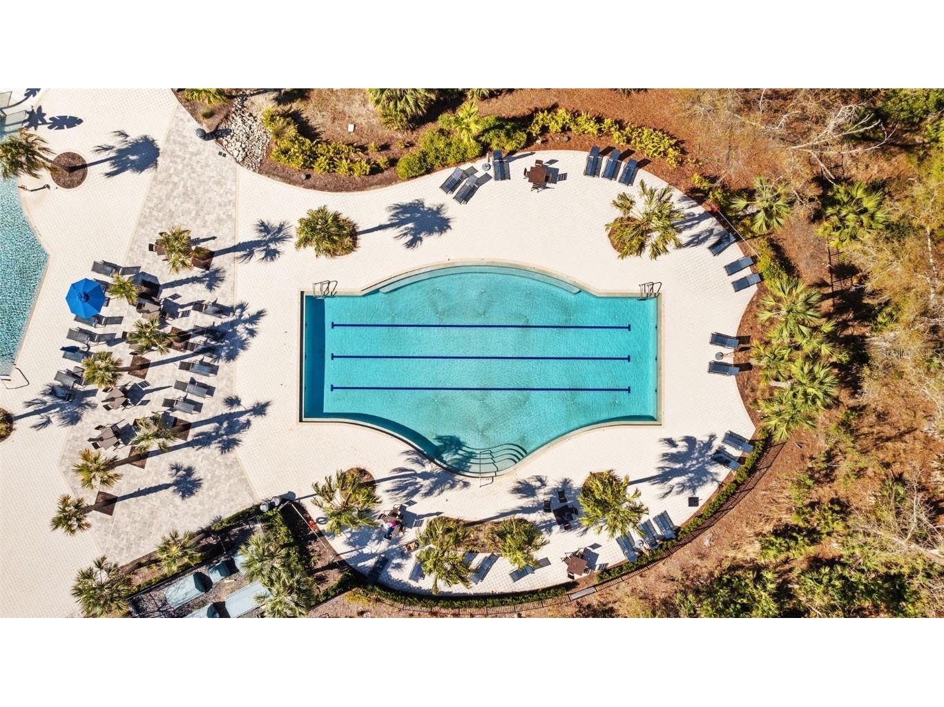 17750 Everlong Drive Land O Lakes FL 34638 TB8431606 image52