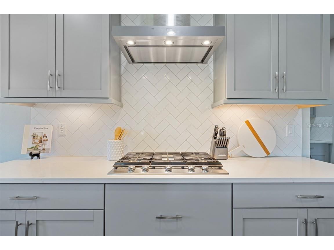 17750 Everlong Drive Land O Lakes FL 34638 TB8431606 image8