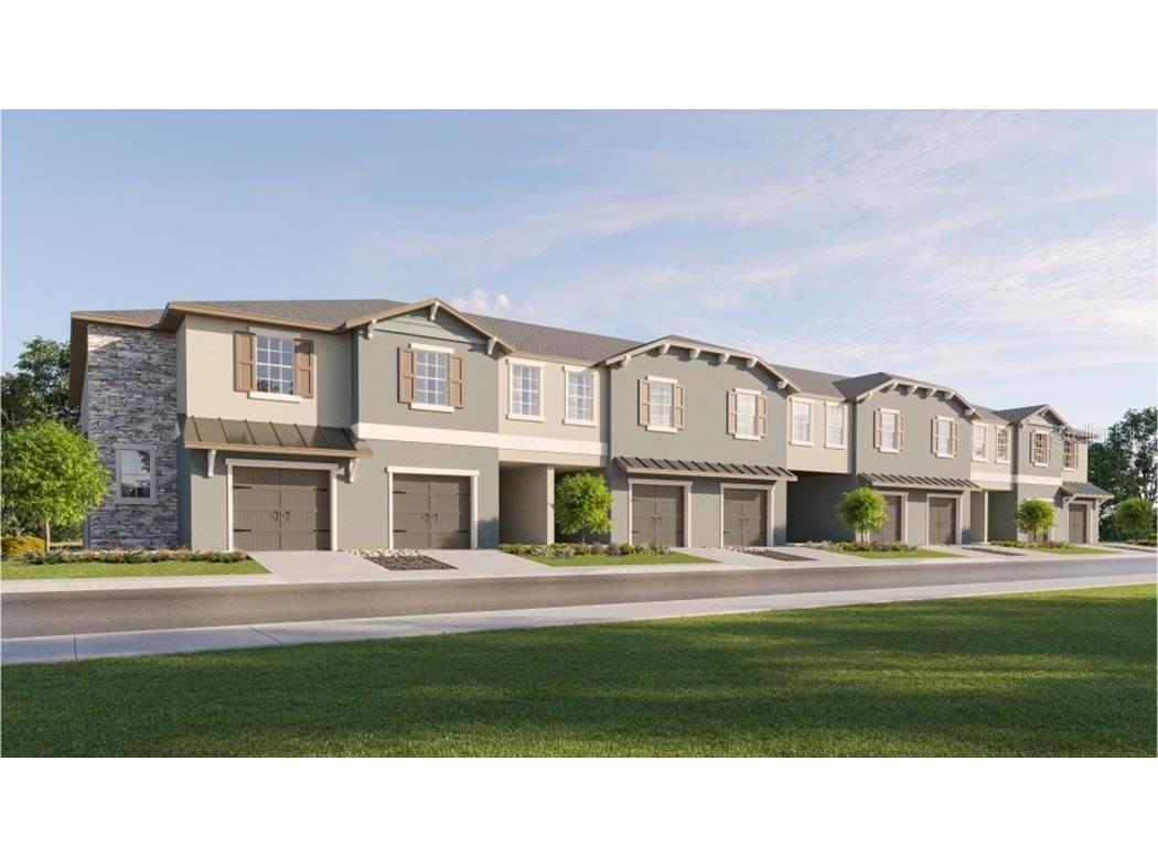 17753 Cotton Nest Court Land O Lakes FL 34638 T3508544 image1