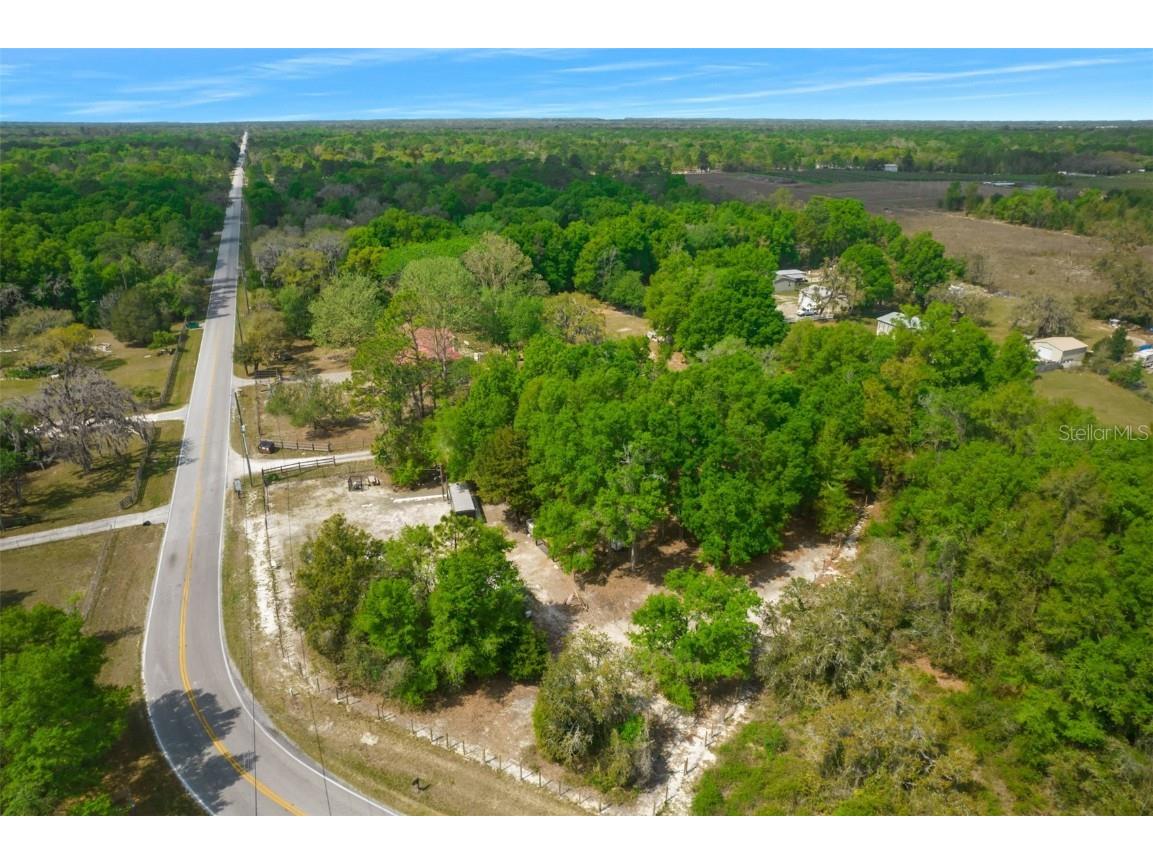 17755 Bosley Spring Hill FL 34610 W7853254 image10