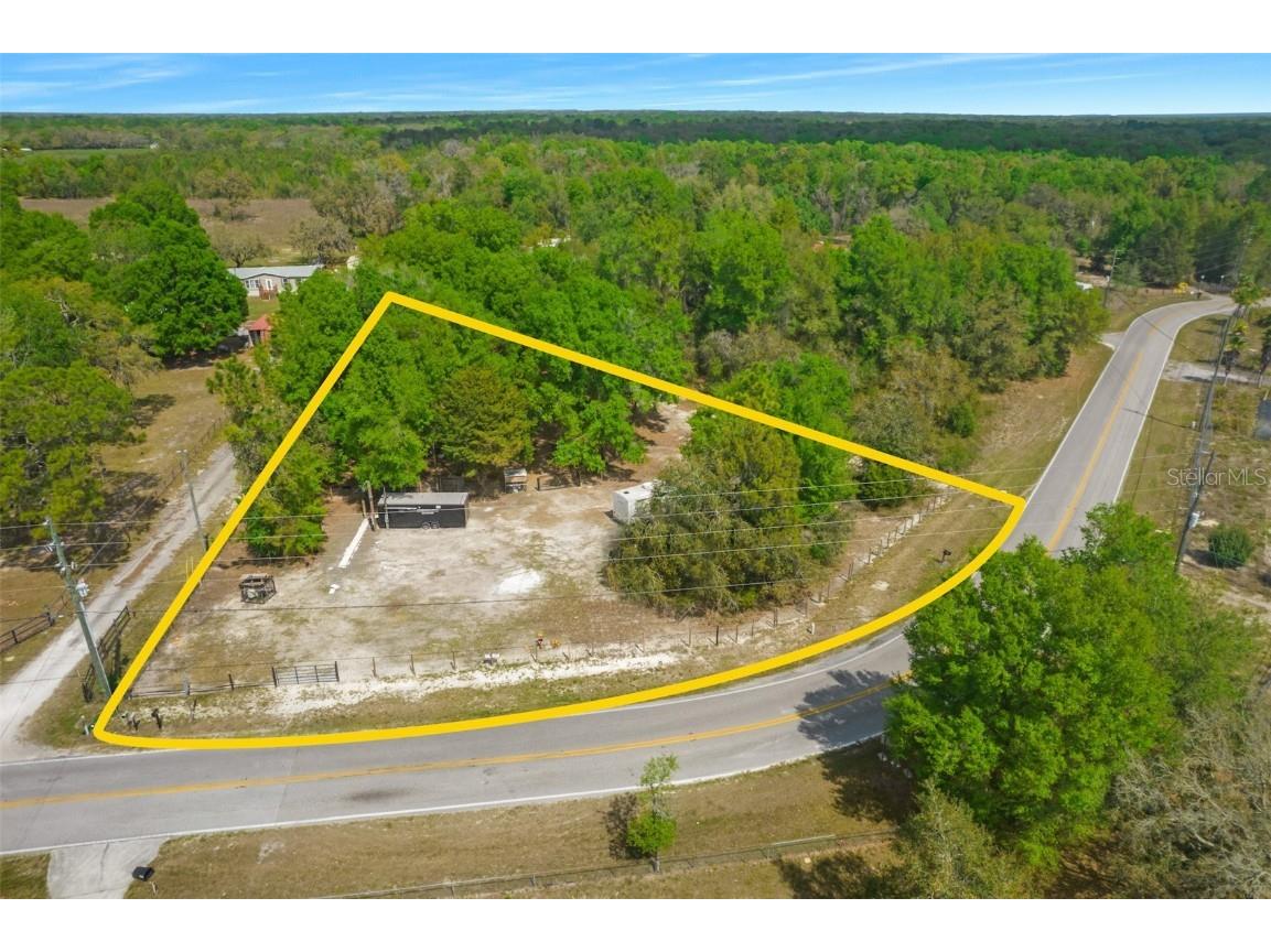 17755 Bosley Spring Hill FL 34610 W7853254 image3